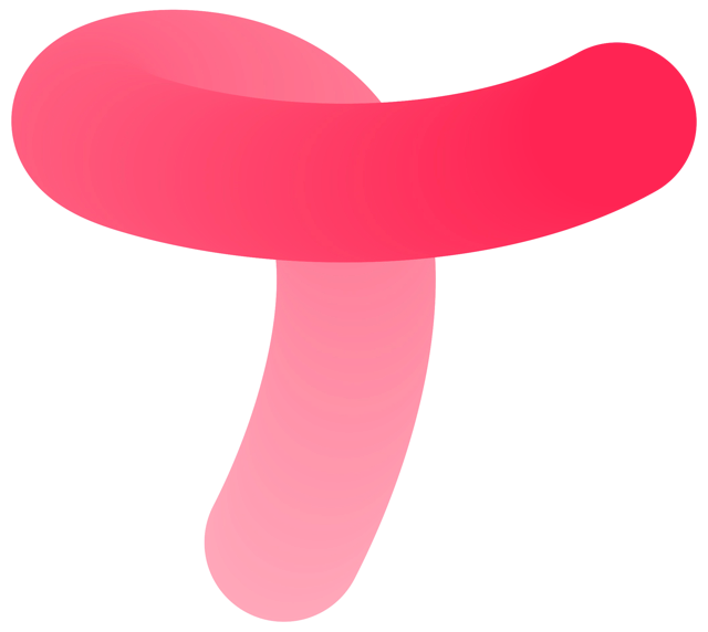 Textshuttle Logo Icon